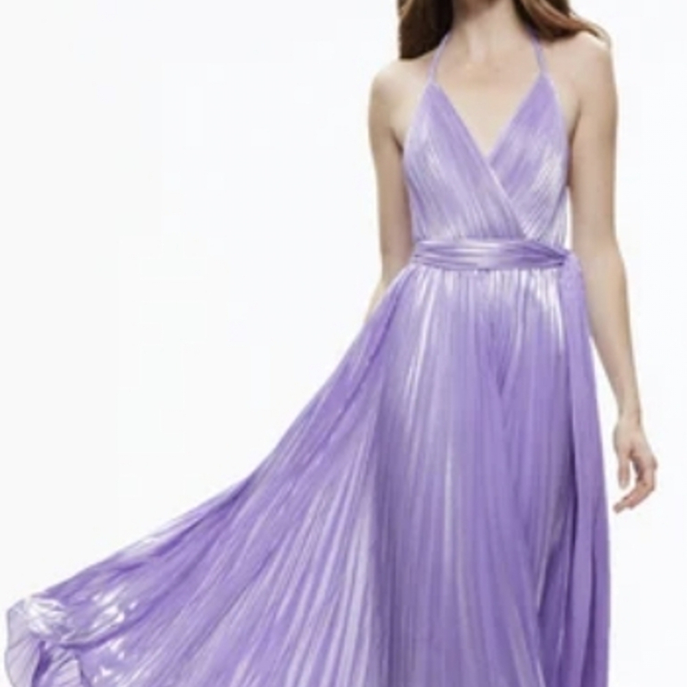 Alice and Olivia Dress